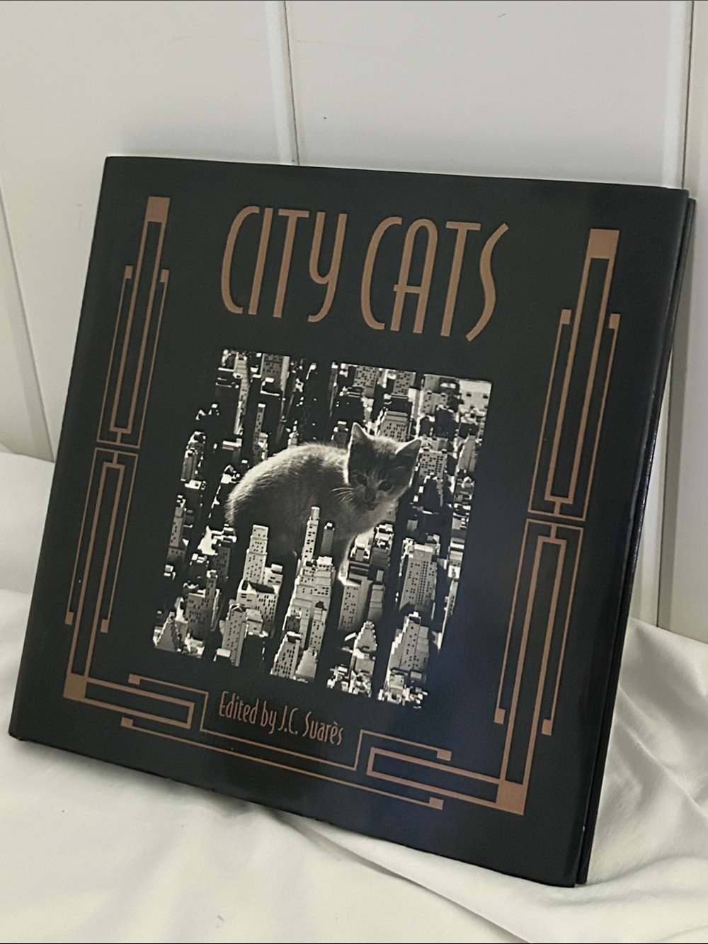 City Cats 90s Hardcover Photo Book Jean-Claude Suarès Italy vintage cat pictures - Picture 1 of 17
